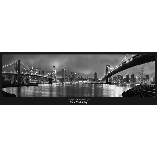 (834) New York Bridges TÜRPOSTER