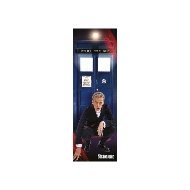 Doctor Who Tardis and Doctor Türposter