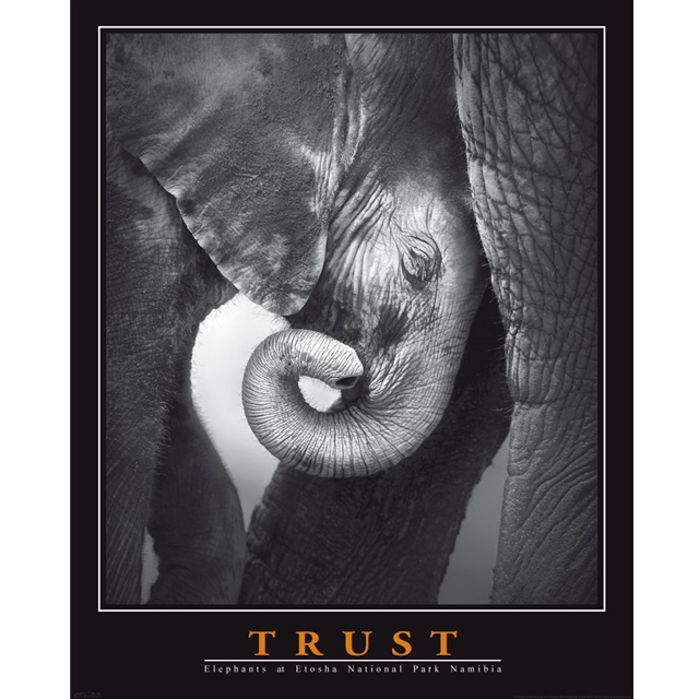 (549) Motivational - Trust Elephant Mini-Poster