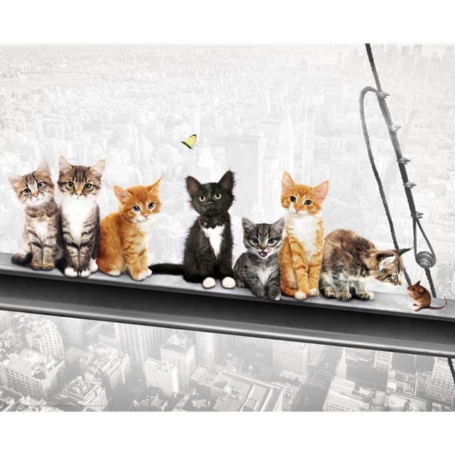 New York Kittens Mini-Poster