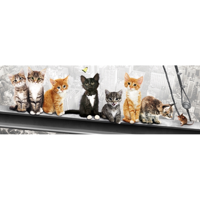New York Kittens Tür-Poster
