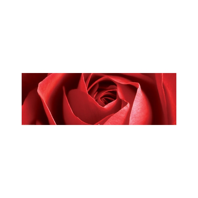 Rote Rose Poster