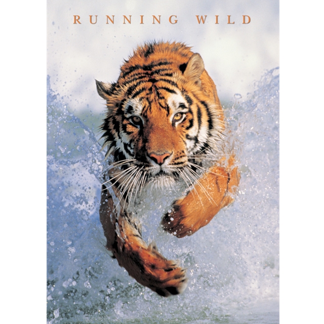 Running Wild "Tiger" Mini Poster