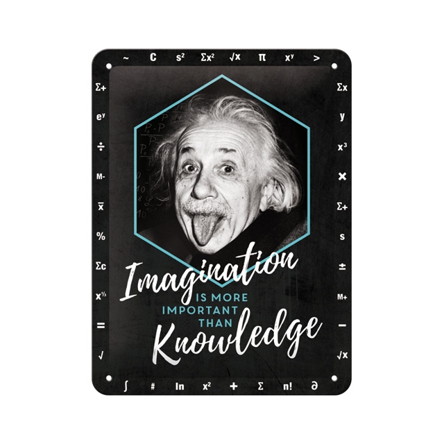 Einstein Imagination Blechschild 15 x 20cm