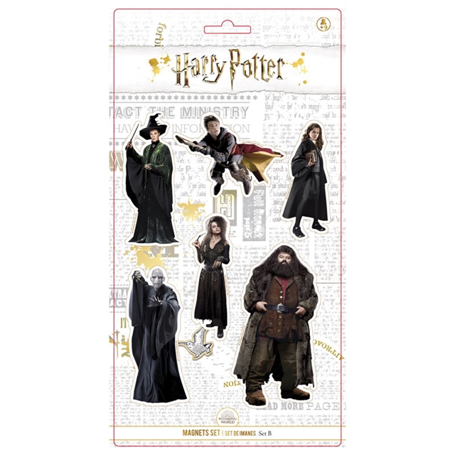 Harry Potter Magnetset mit 6 Figuren