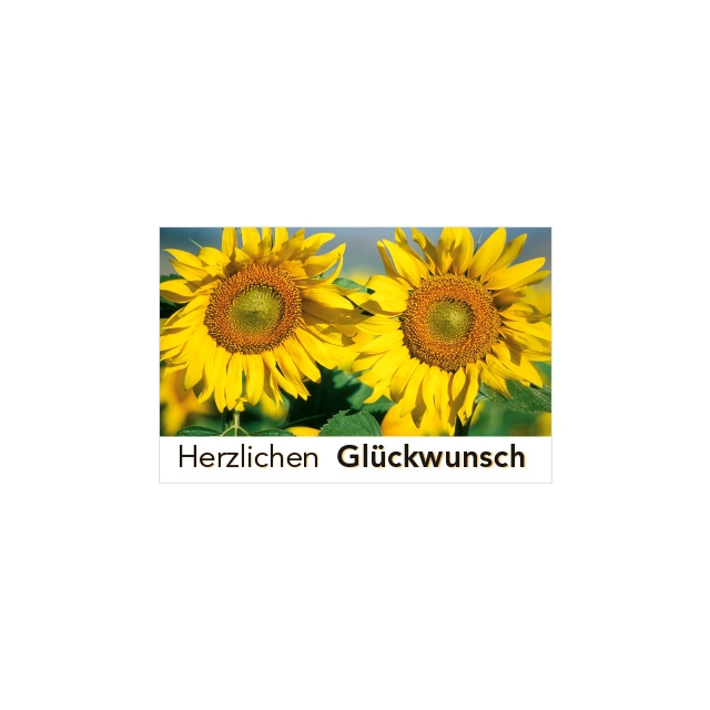 Herzlichen Glückwunsch Sonnenblume Minikarte