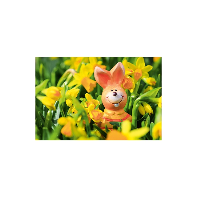Ostern Hase Blumenwiese Minikarte