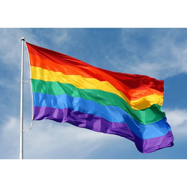 Regenbogen / Rainbow Flagge/Fahne