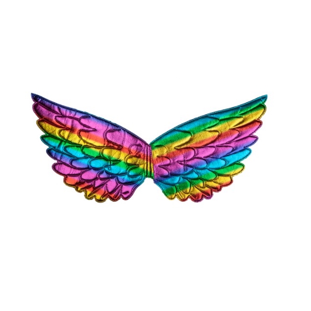 Regenbogen Flügel