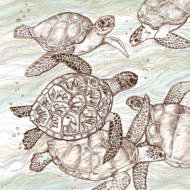 Swimming Turtles banko Karte