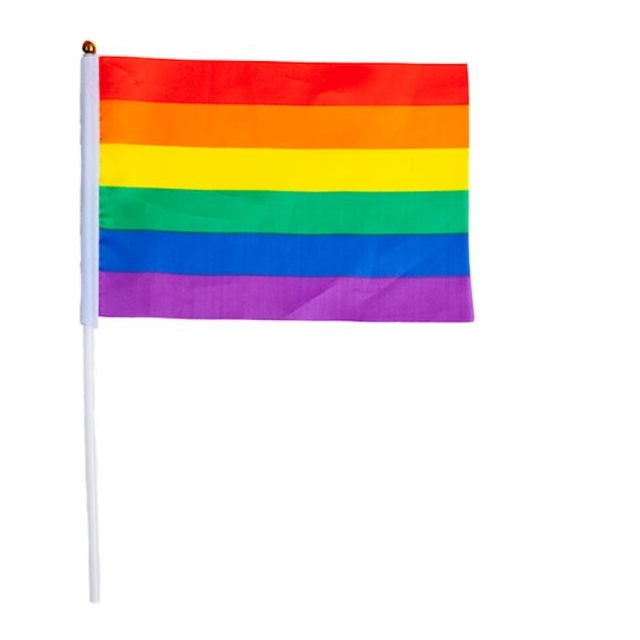 Rainbow Stick Flag 21 x 14 cm