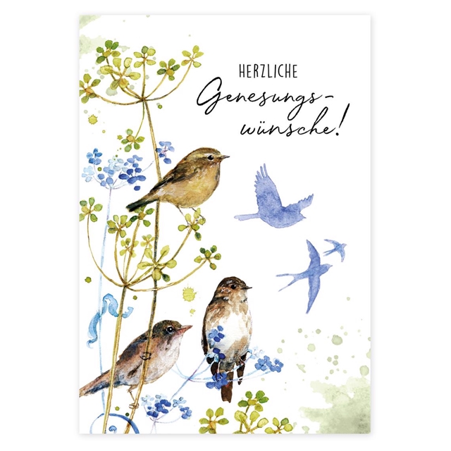 Vogelranke Postkarte