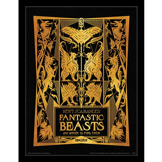 Fantastic Beasts - Grindelwald Print mit Rahmen