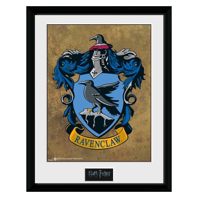Harry Potter Ravenclaw Collector Print