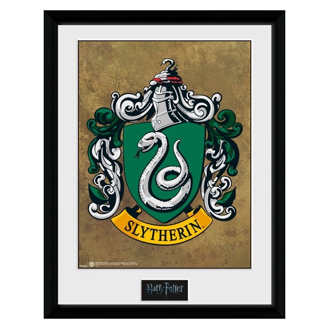 Harry Potter Slytherin Collector Print