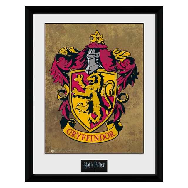 Harry Potter Gryffindor Collector Print