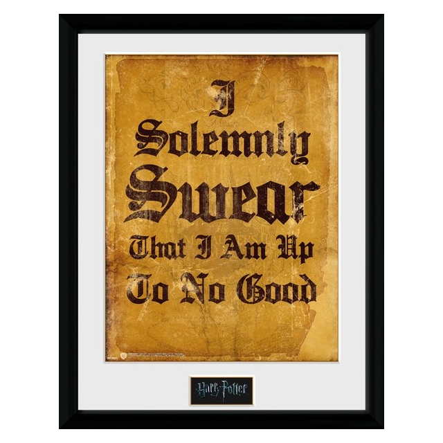 Harry Potter I Solomnly Swear Collector Print