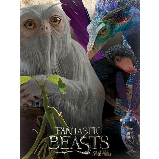 Fantastic Beasts Leinwanddruck