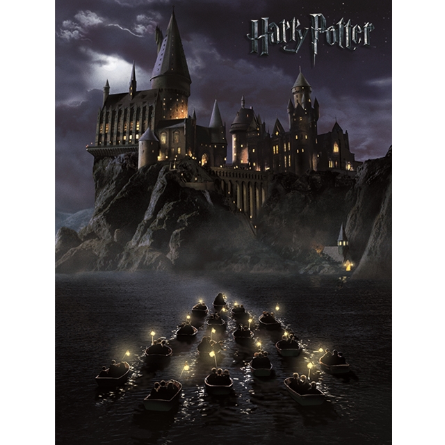 Harry Potter (Hogwarts School) Leinwanddruck