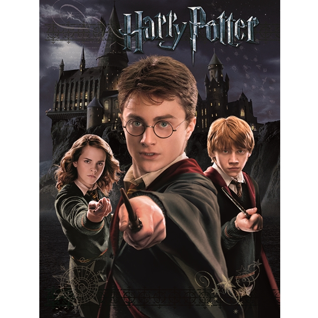 Harry Potter (Harry Ron Hermione) Leinwanddruck