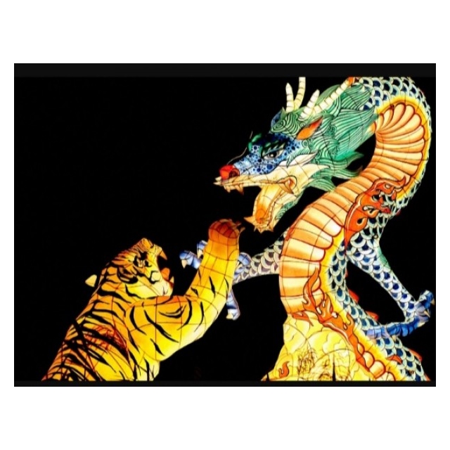 Diamond Painting Tiger-Dragon 50x40 (59)