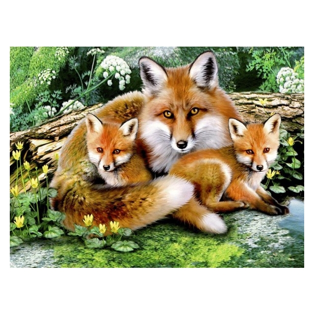 Diamond Painting  Foxes 50x40  cm