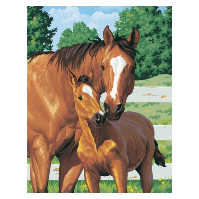 Diamond Painting Horses 30x20 cm