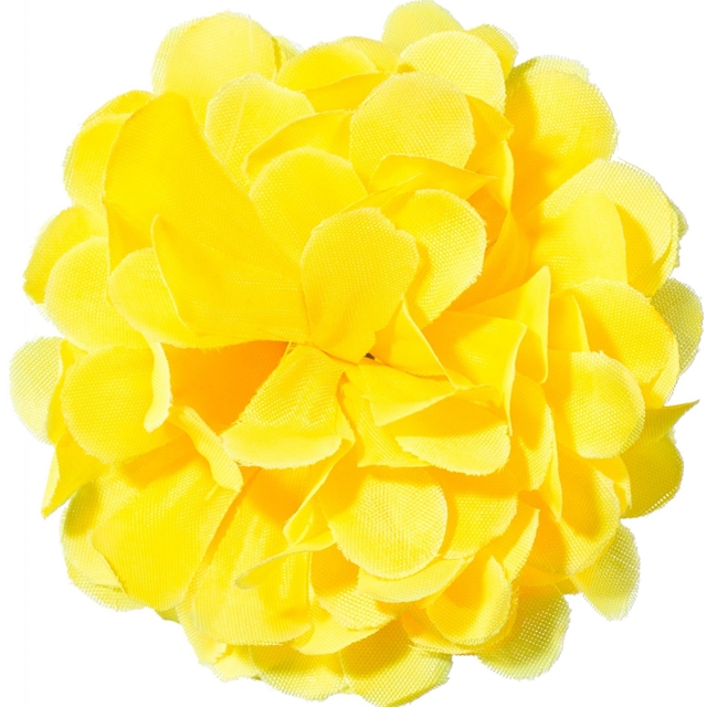 Ansteckblume Chrysantheme, gelb