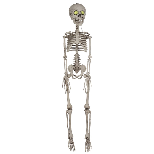 Skelett mit LED Licht Deko