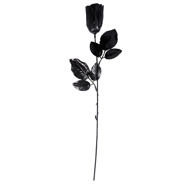 Rose schwarz