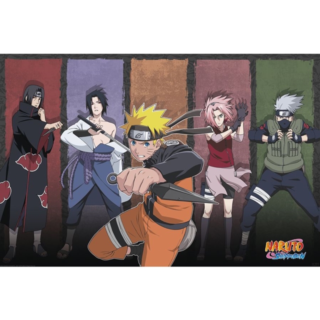Naruto Shippuden Poster Naruto & Allies