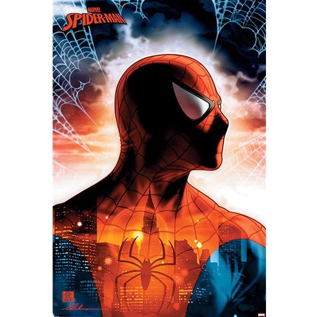 Spiderman Protector Of The City Poster