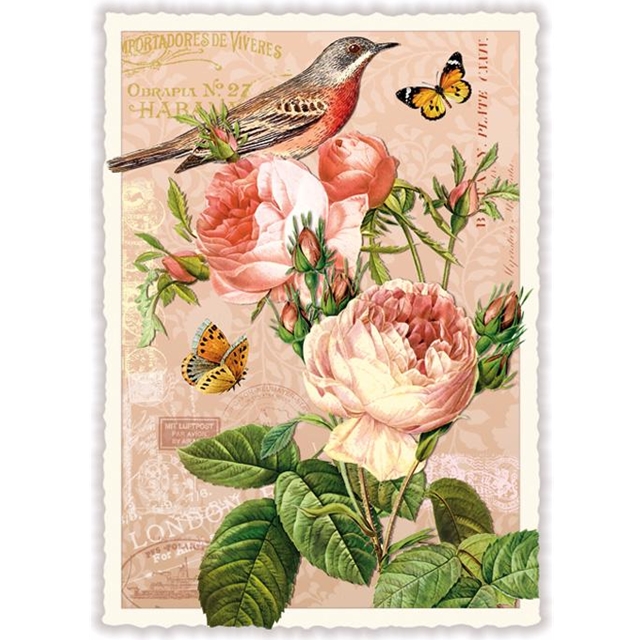 Vogel Postkarte