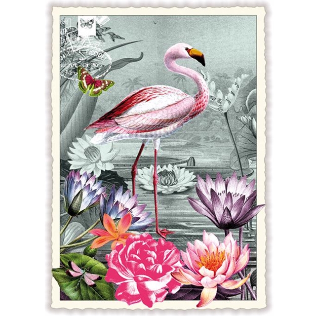 Flamingo Postkarte