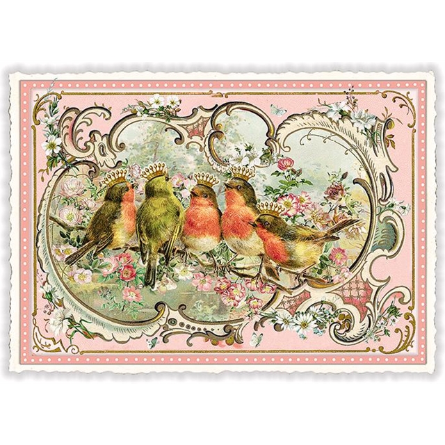 Vögel Postkarte