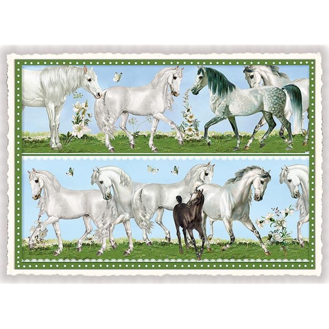 Pferde Postkarte