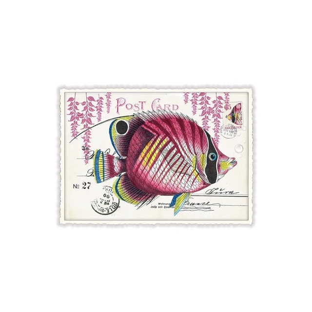 Fisch Postkarte