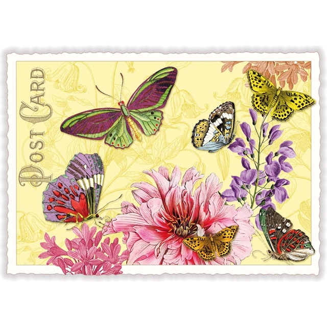 Schmetterlinge Postkarte