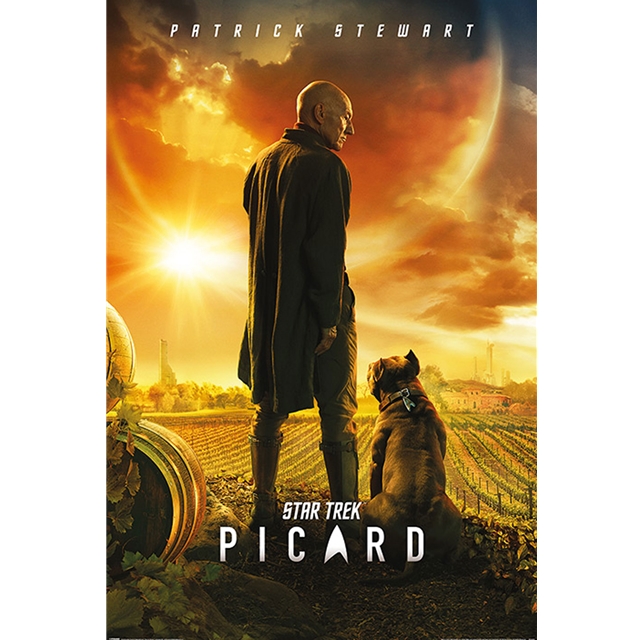 Star Trek Picard Number One Poster