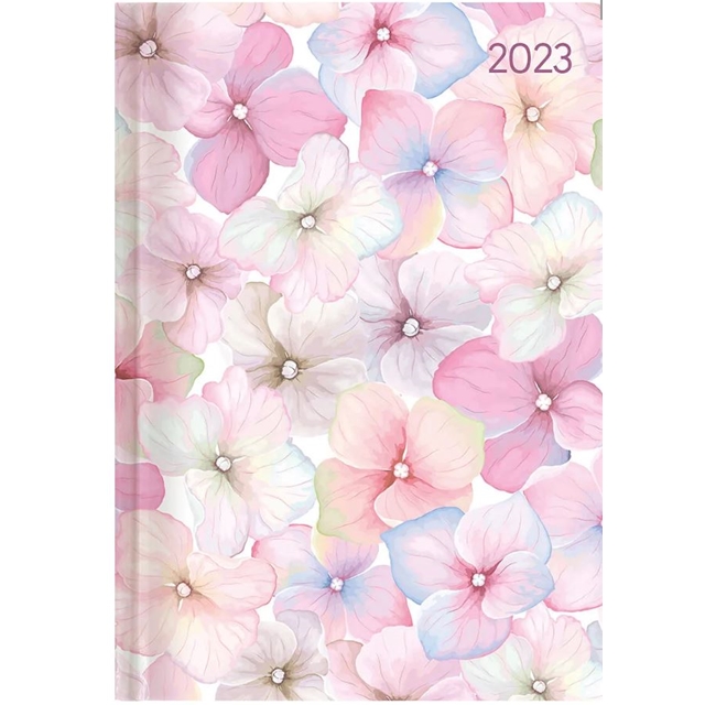 Blossoms   Agenda  2023