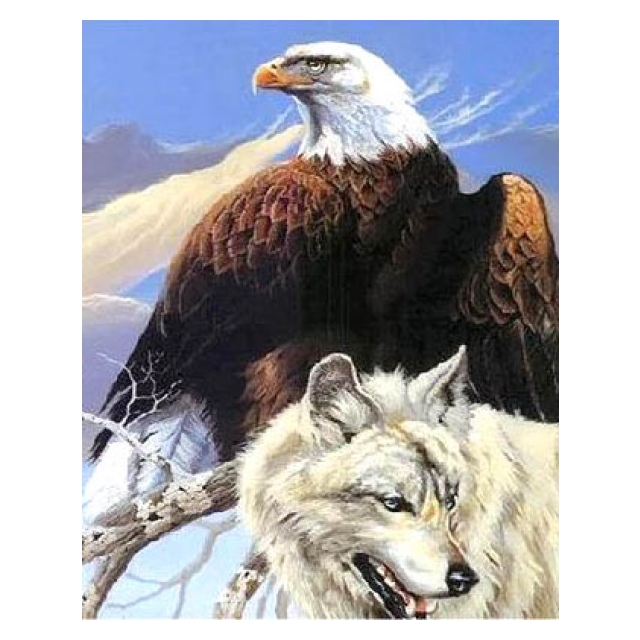 Diamond Painting  Wolf/Eagle 40x50cm