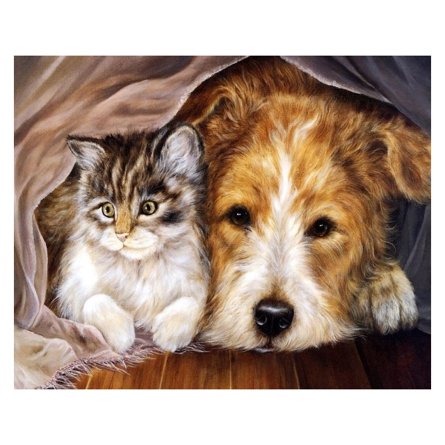 Diamond Painting  Cat & Dog