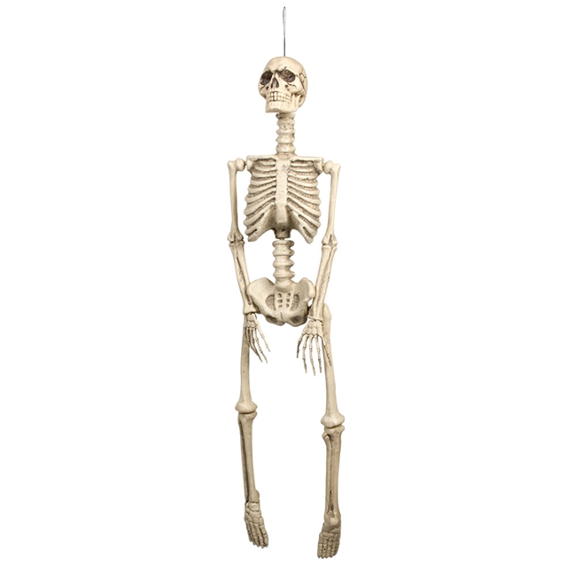 Skelett 92cm Dekoration