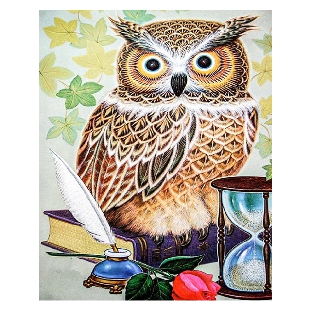 Diamond Painting Owls/Eulen 40x30  cm