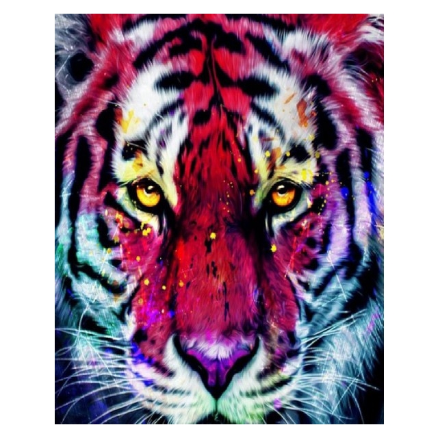Diamond Painting  Tiger 50x40 cm