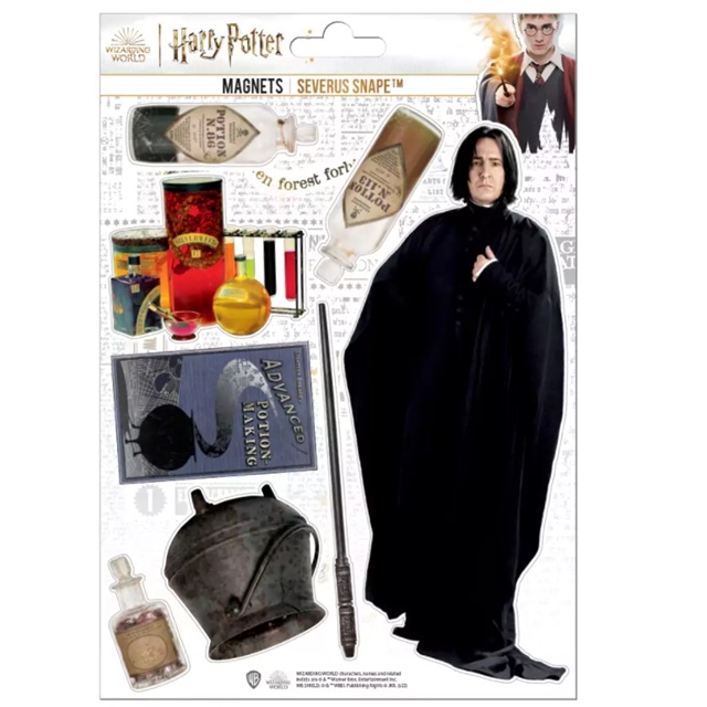 Harry Potter Severus Snape Magnet Set