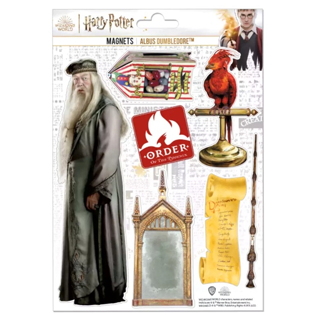 Harry Potter Dumbledore Magnet Set