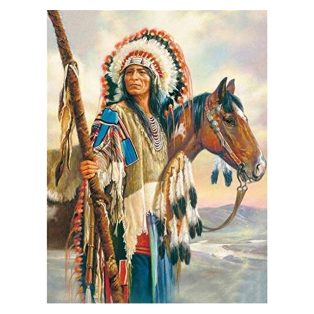 Diamond Painting Indian/Horse 50x40 cm