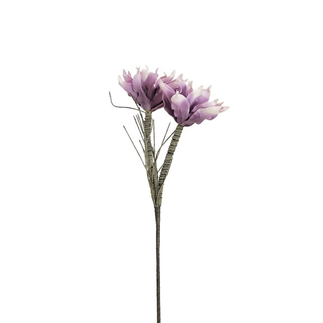 Magnolienzweig violett Dekoration