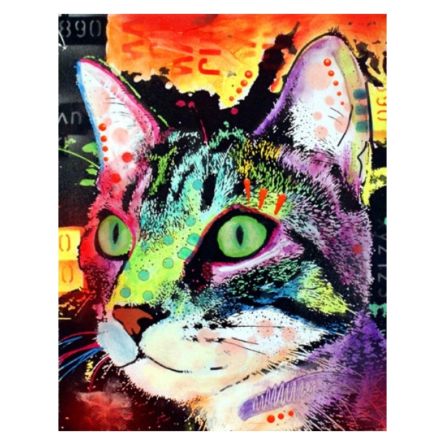 Diamond Painting  Cat 40x30  cm